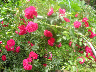 Similar image 22673410