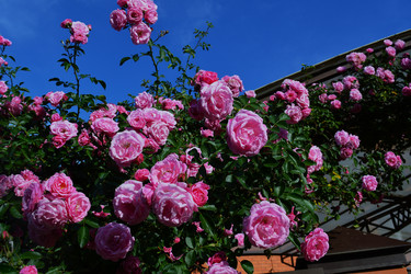 Similar image 22694097