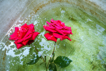 Similar image 22694100