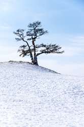Similar image 22679436