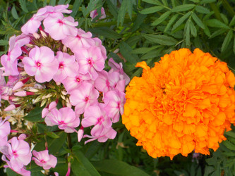 Similar image 22679214