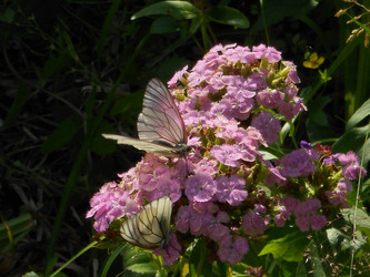 Similar image 22679215