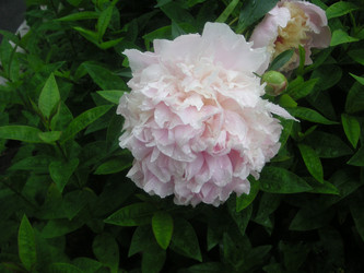 Similar image 22679217