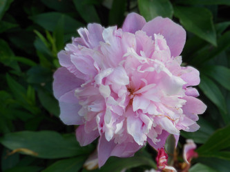 Similar image 22679218