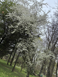 Similar image 22680406