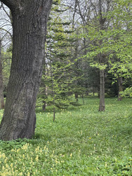 Similar image 22680407