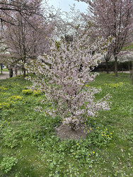 Similar image 22680408