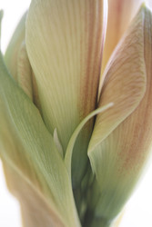 Similar image 22742537