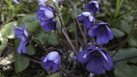 Similar image 22684387