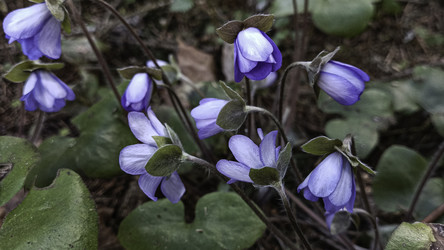 Similar image 22684388