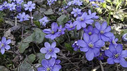 Similar image 22684390