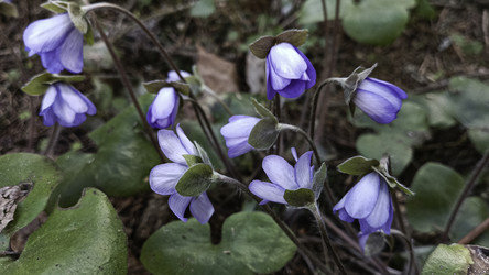 Similar image 22684401