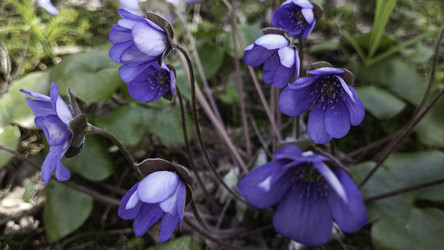 Similar image 22684402