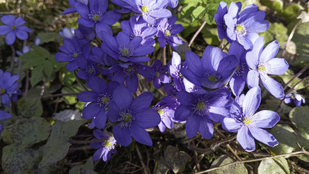 Similar image 22684405