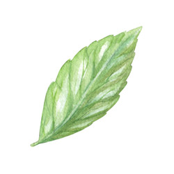 Similar image 22679237