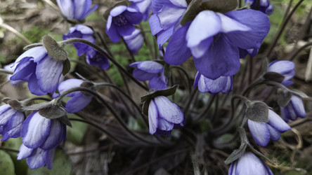 Similar image 22684407