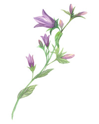 Similar image 22679238