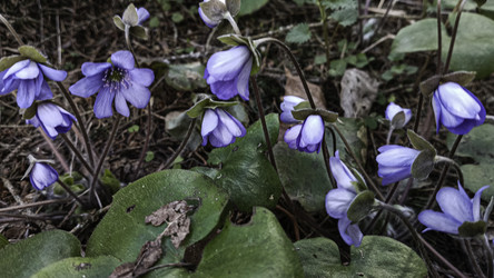 Similar image 22684408