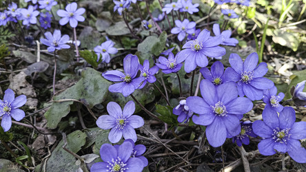 Similar image 22684409