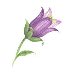 Similar image 22679239