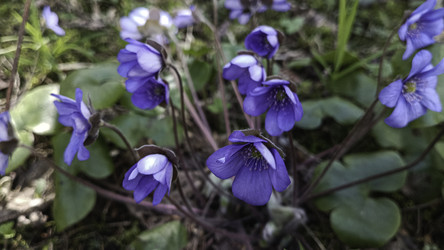 Similar image 22684412