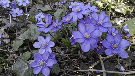 Similar image 22684414