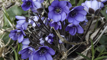 Similar image 22684395