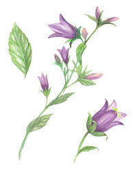 Similar image 22679220