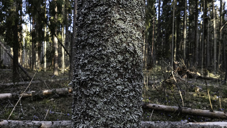 Similar image 22684396