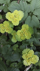 Similar image 22684397