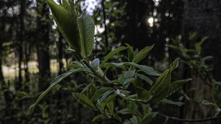 Similar image 22684415