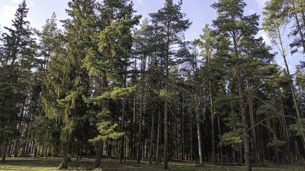 Similar image 22682404