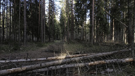 Similar image 22682405
