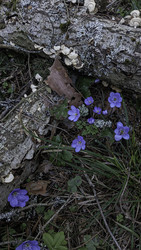 Similar image 22682406