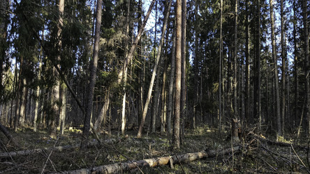 Similar image 22682409