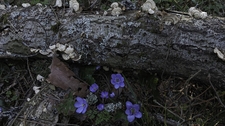 Similar image 22682418