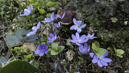 Similar image 22682427
