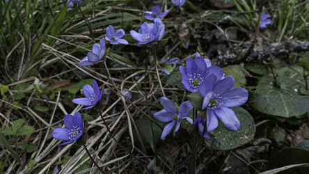 Similar image 22682428
