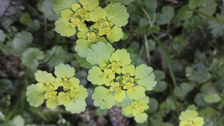 Similar image 22682438