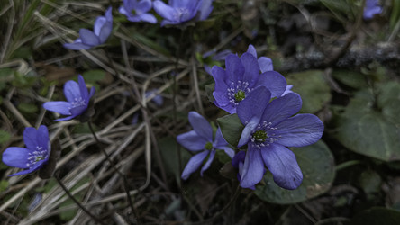 Similar image 22682440