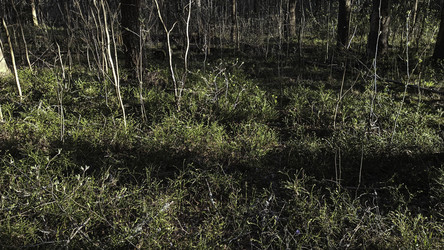 Similar image 22682444
