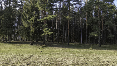 Similar image 22682446