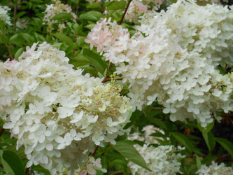 Similar image 22679221