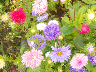 Similar image 22679222