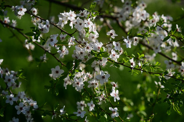 Similar image 22687751