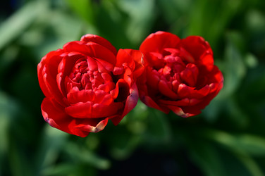 Similar image 22692306