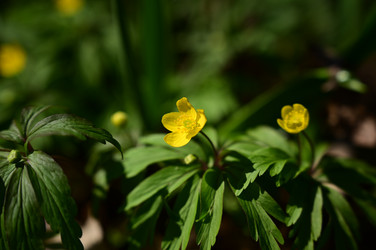 Similar image 22687756