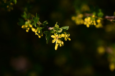 Similar image 22687758
