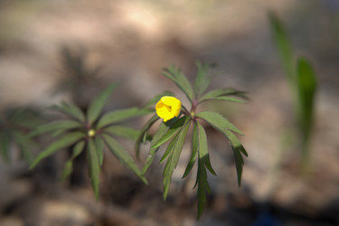 Similar image 22687760