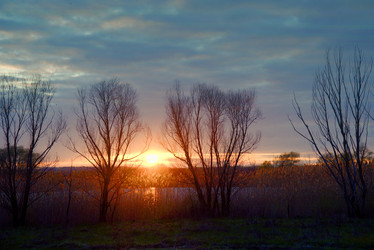 Similar image 22687763